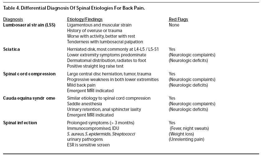 back pain causes